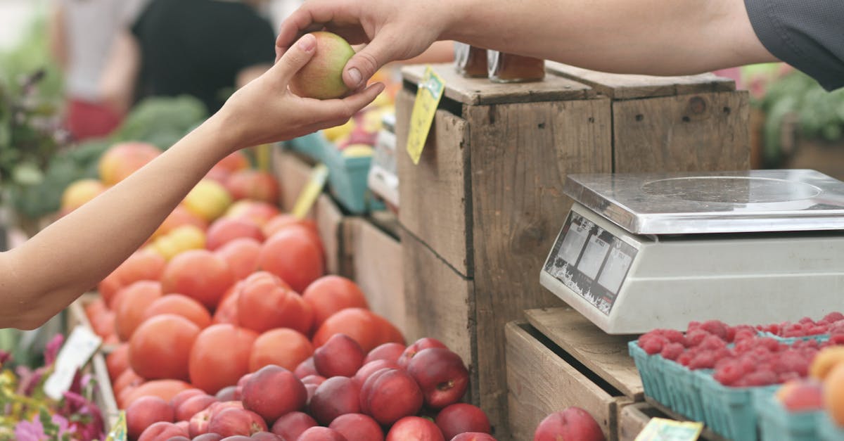 découvrez nos offres exceptionnelles pour acheter des produits de qualité à des prix compétitifs. profitez d'une expérience d'achat facile et sécurisée avec une sélection variée répondant à tous vos besoins.